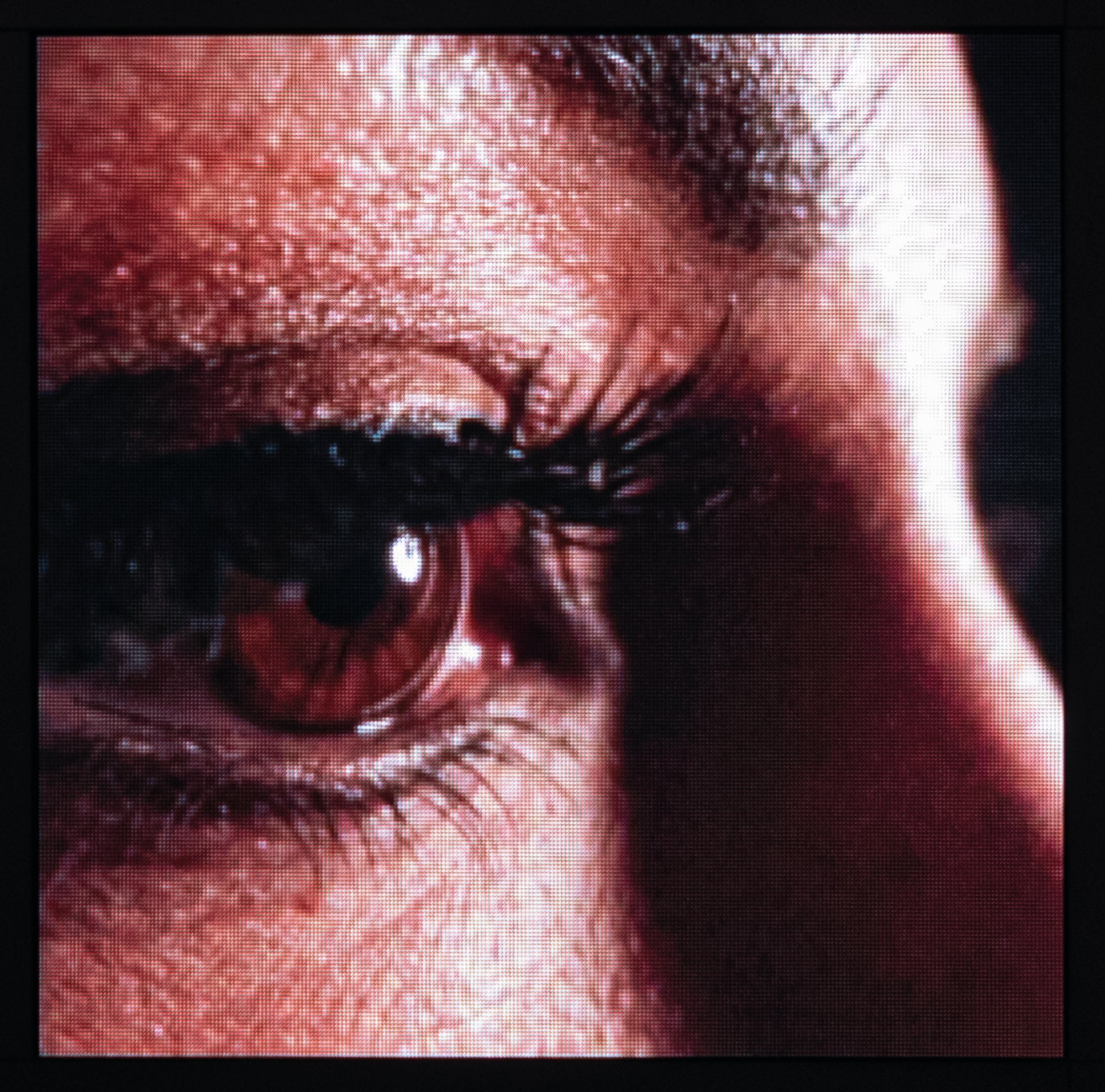 DMT Alpha Series A3.9i - Indoor