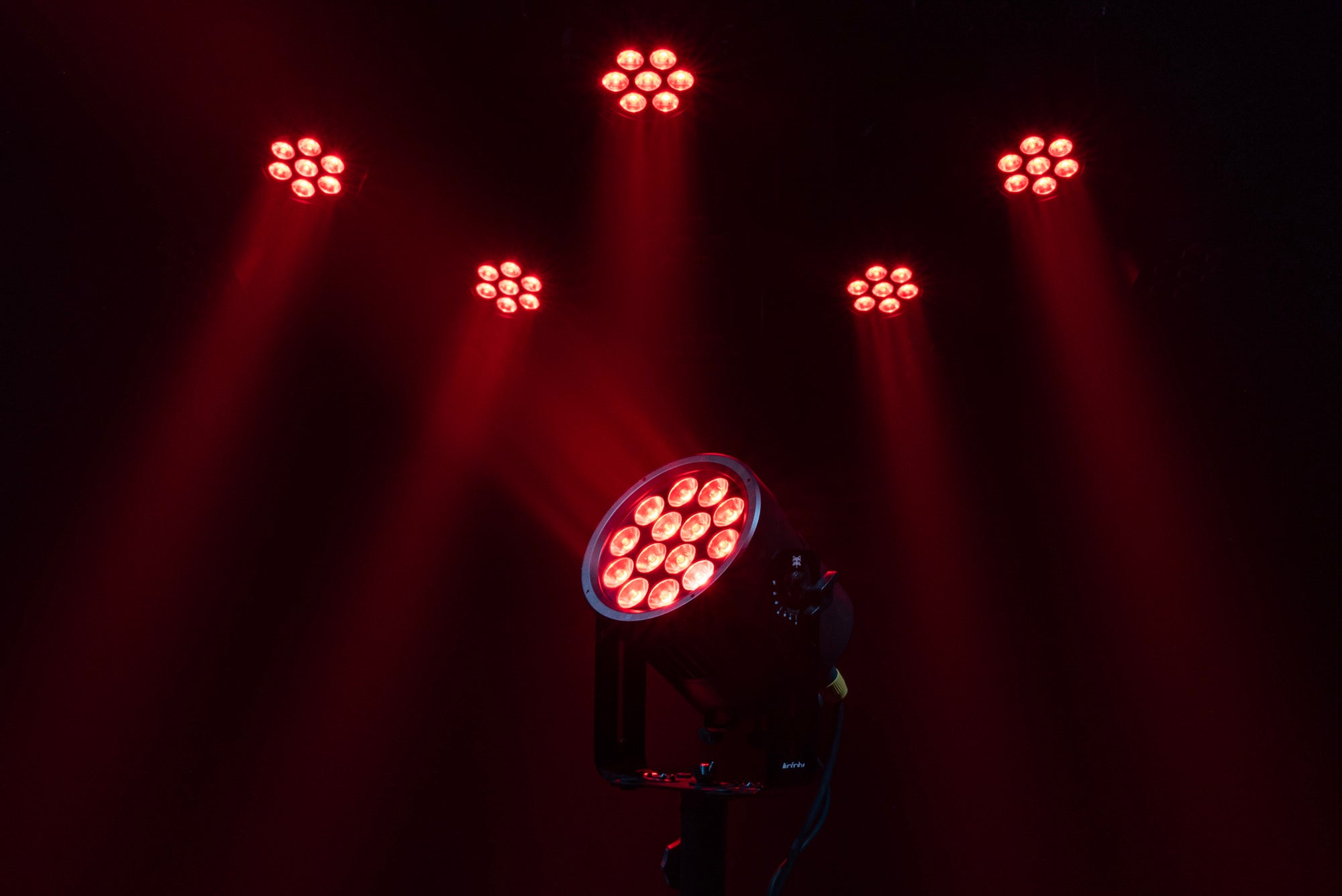 INFINITY Raccoon P14/4