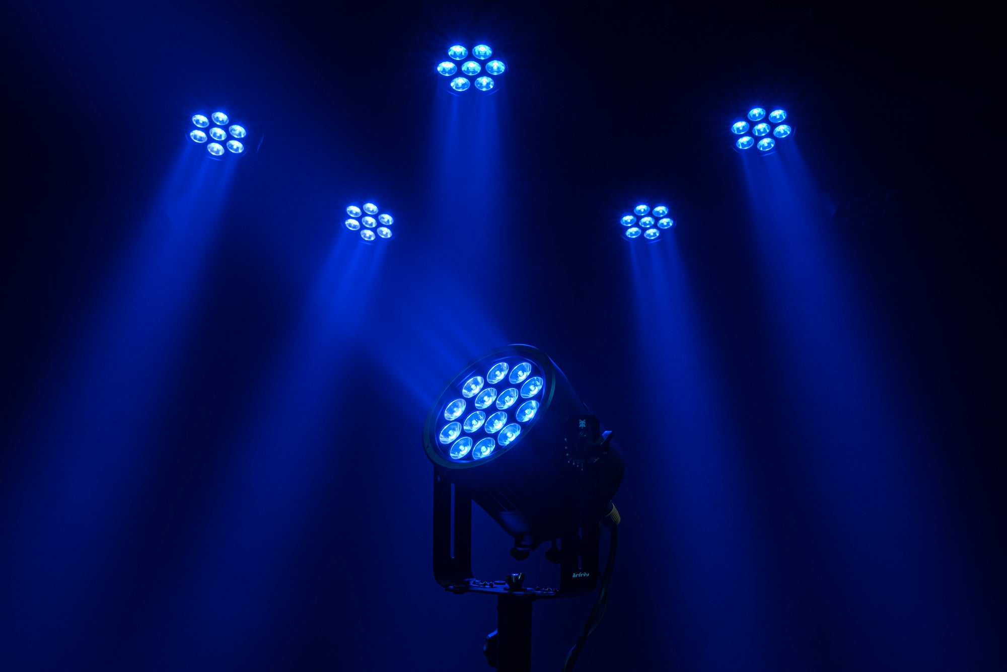 INFINITY Raccoon P14/4