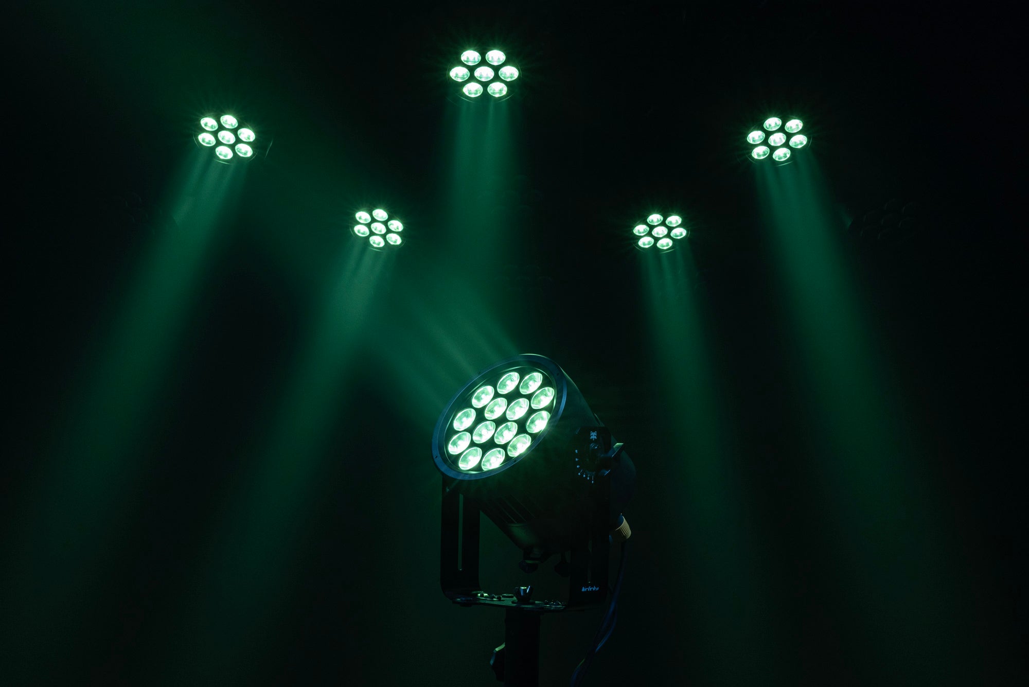 INFINITY Raccoon P14/4