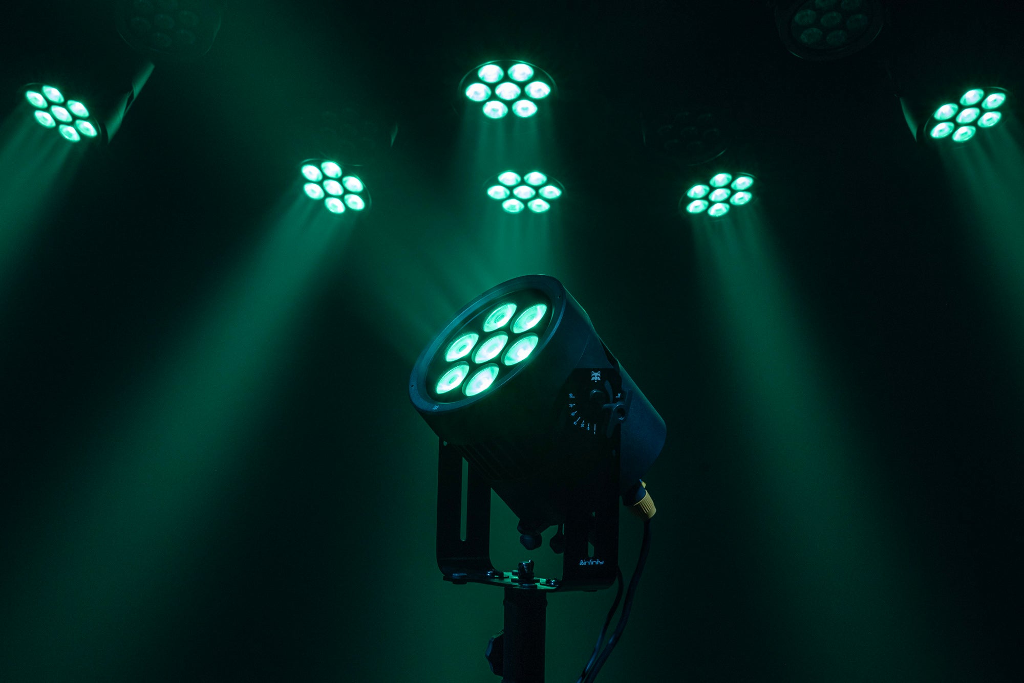 INFINITY Raccoon P7/7