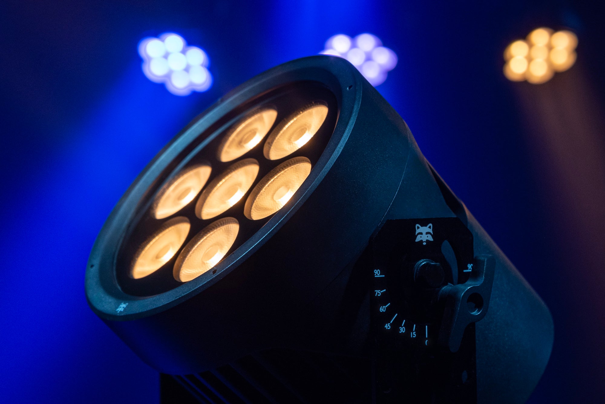 INFINITY Raccoon P7/7