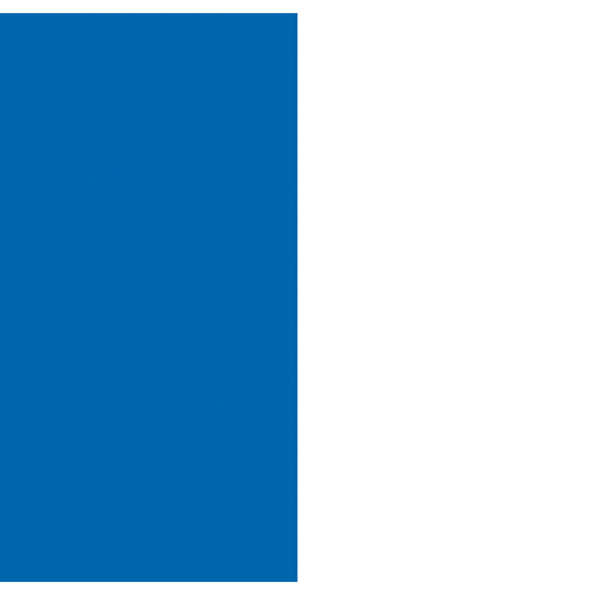 SHOWGEAR Cannone Sparacoriandoli Pro Manuale