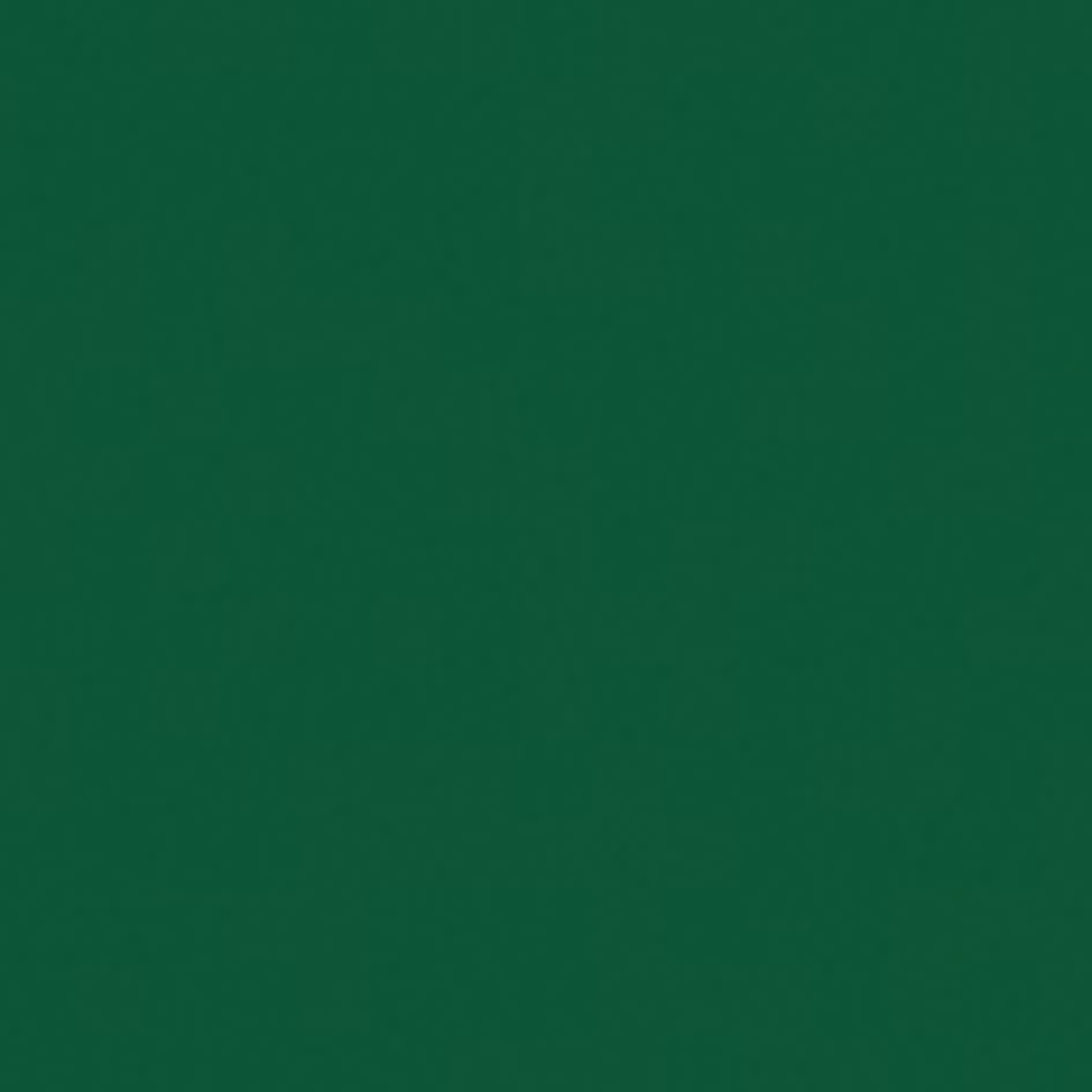 SHOWGEAR Cannone Sparacoriandoli Pro Manuale