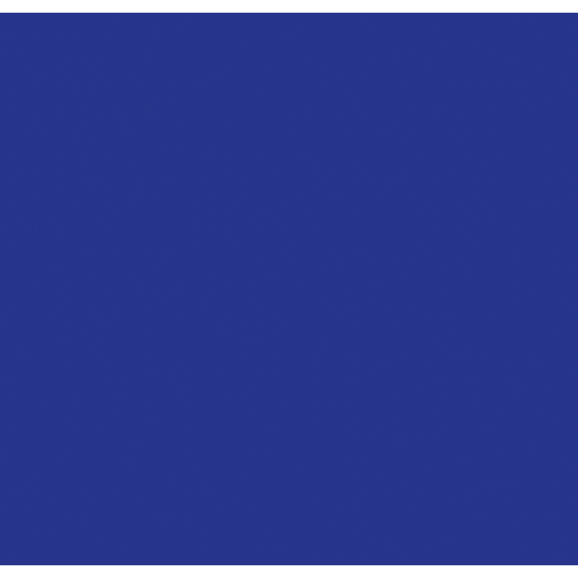 SHOWGEAR Cannone Sparacoriandoli Pro Manuale