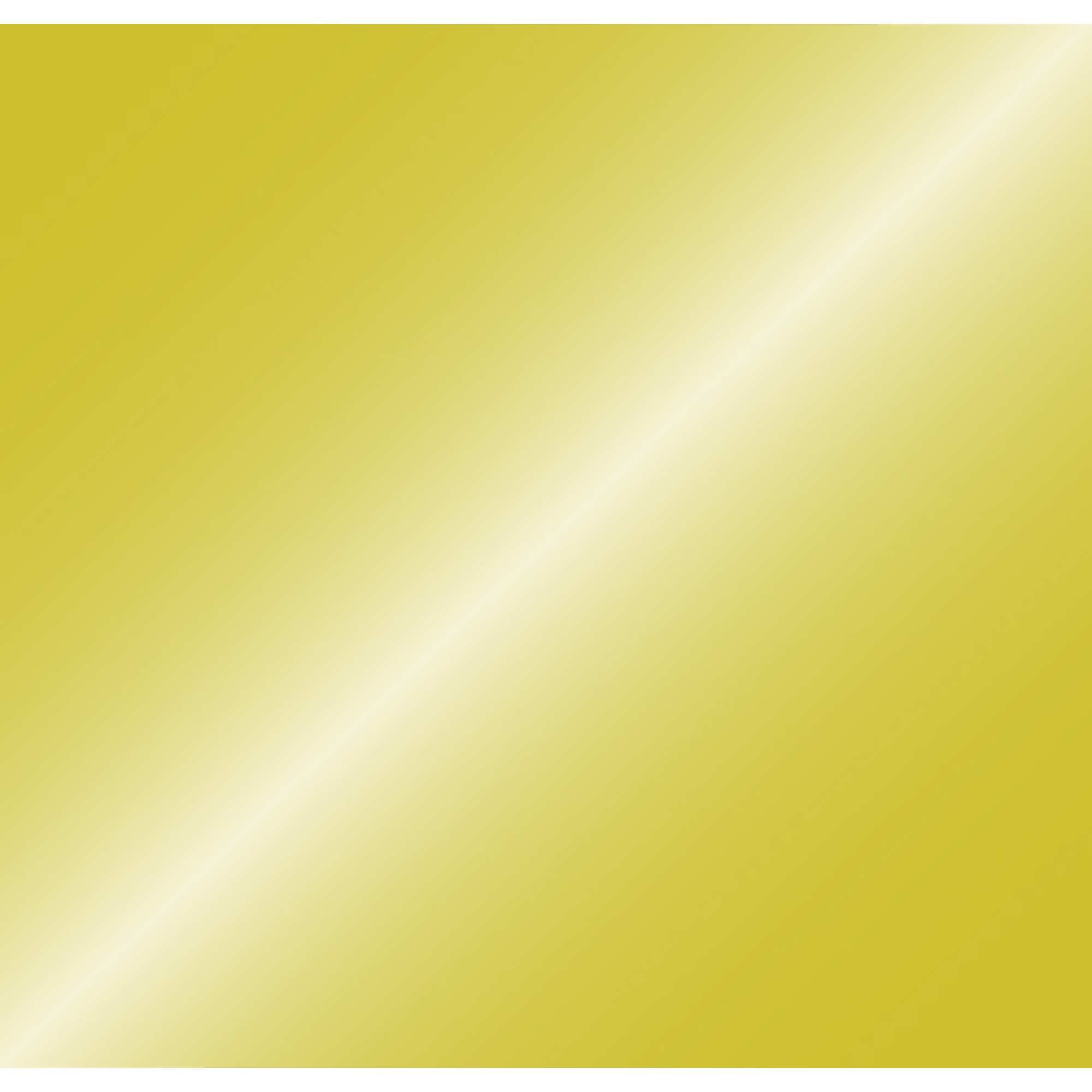 SHOWGEAR Cannone Sparacoriandoli Pro Manuale