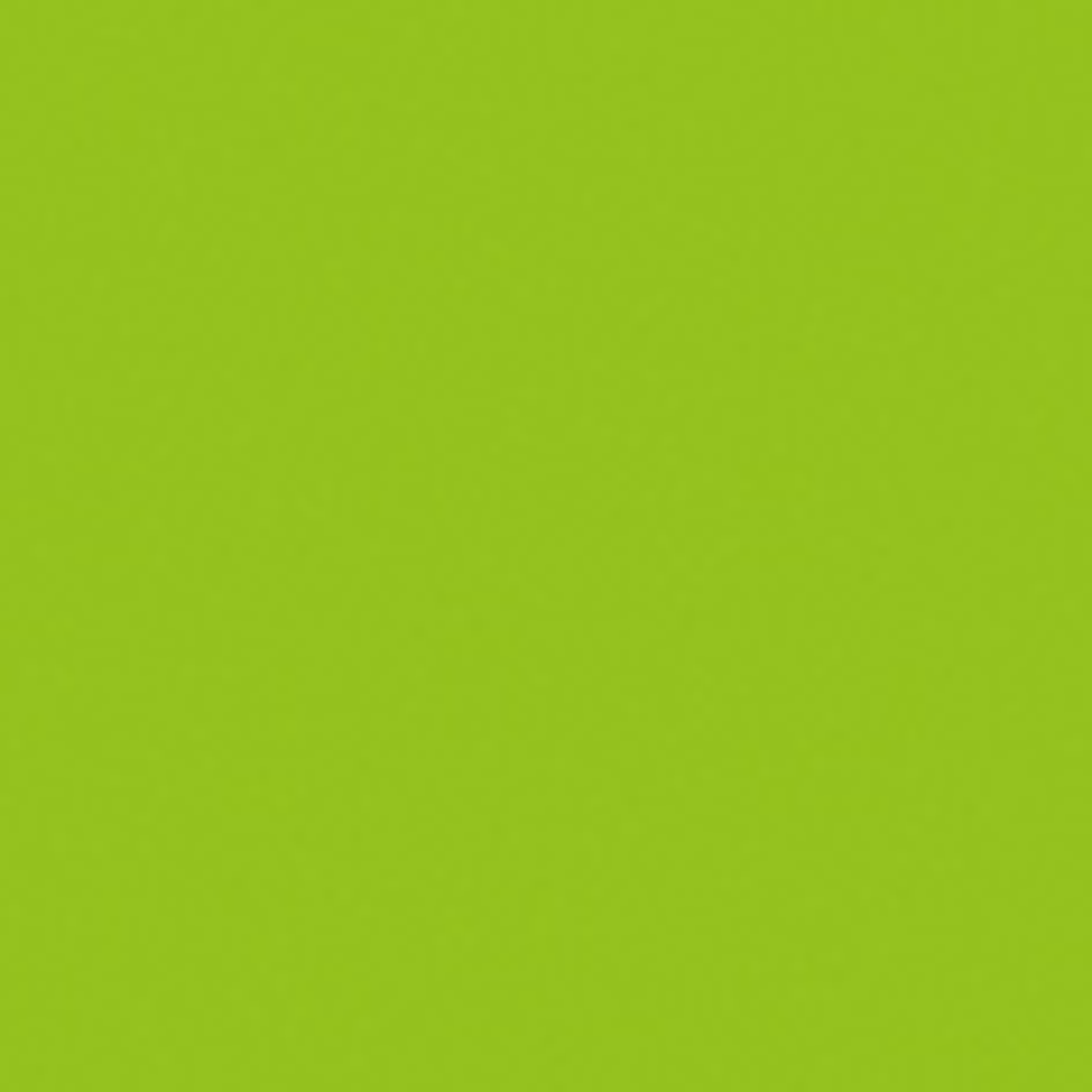 SHOWGEAR Cannone Sparacoriandoli Pro Manuale