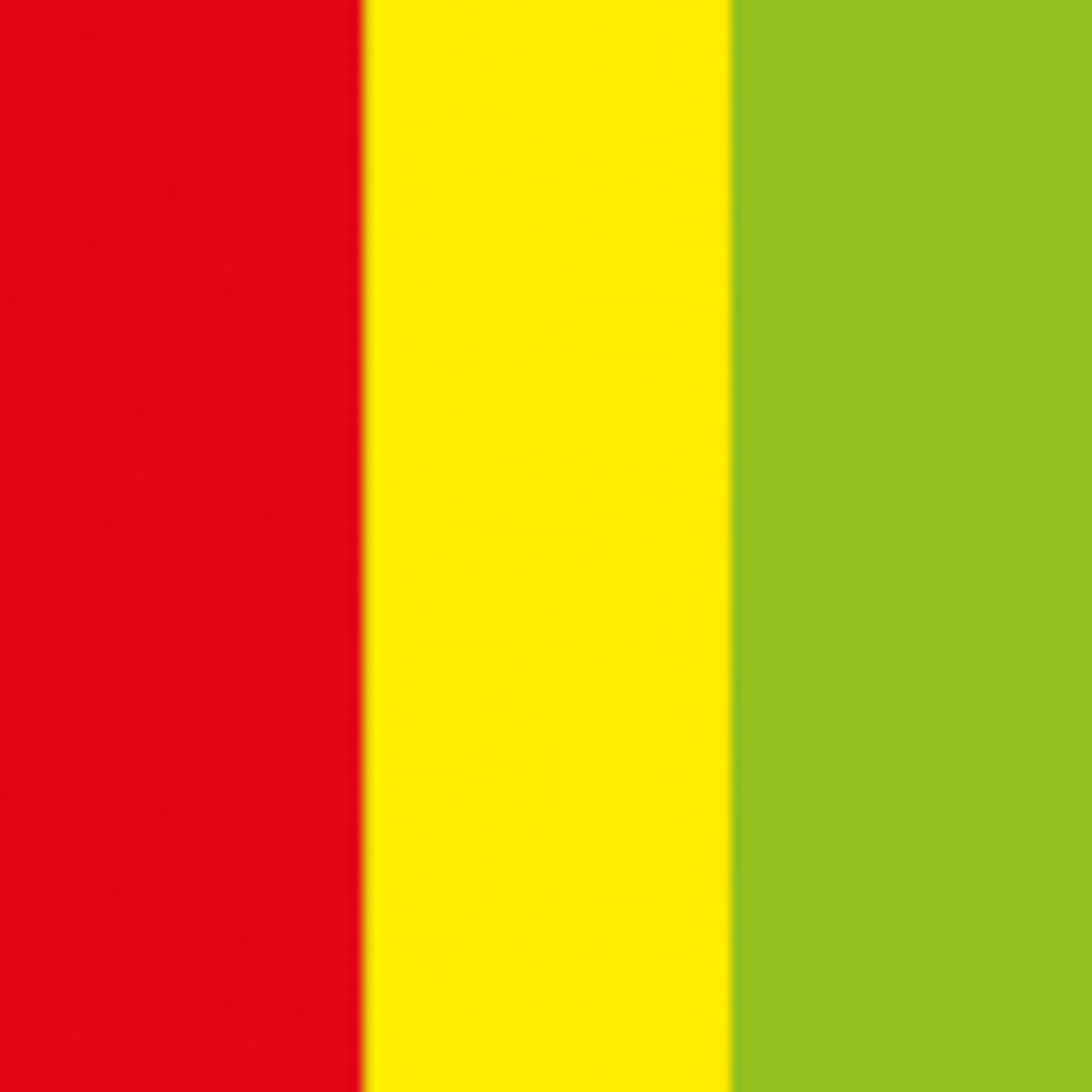 SHOWGEAR Cannone Sparacoriandoli Pro Manuale