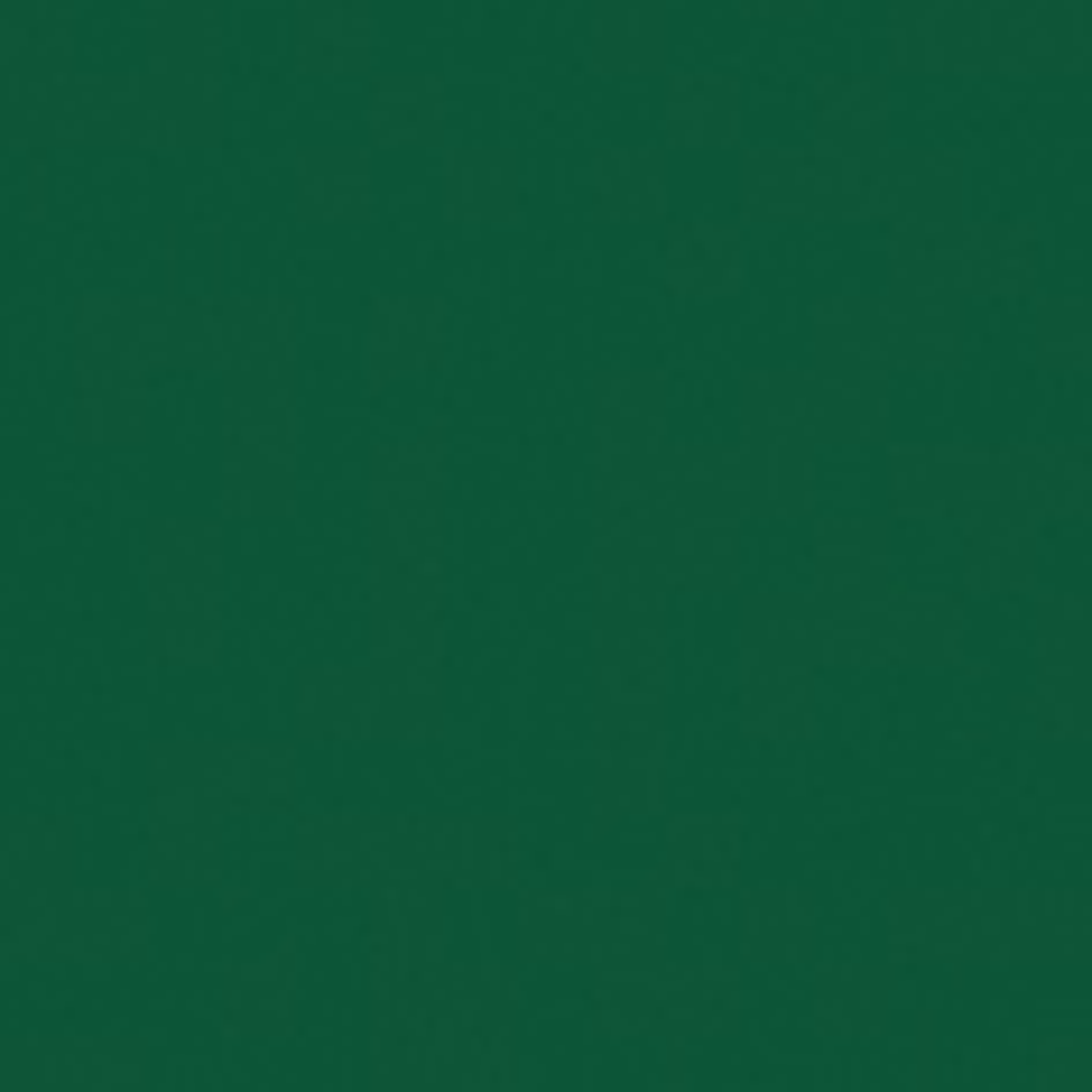 SHOWGEAR Cannone Sparacoriandoli Elettrico Pro