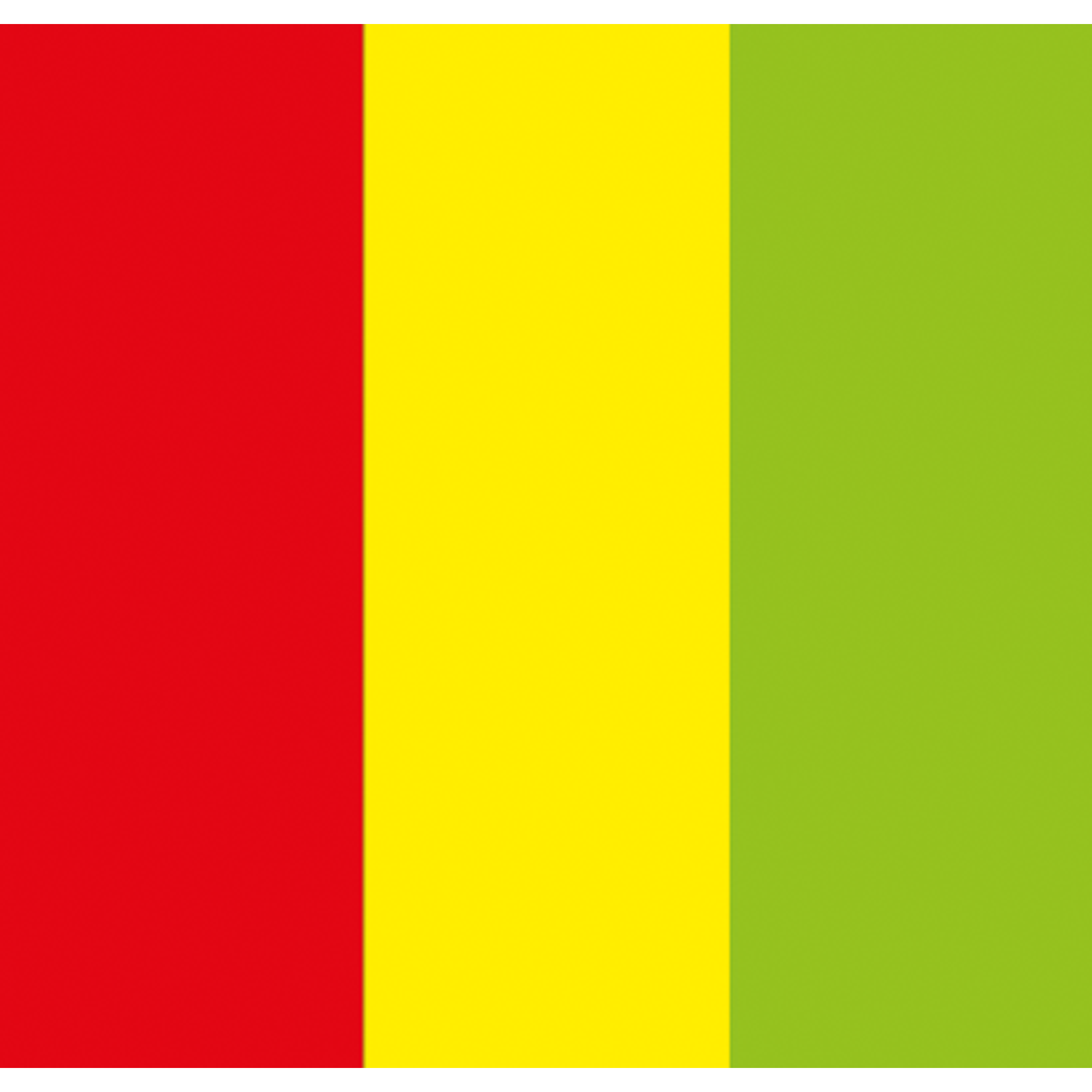 SHOWGEAR Cannone Sparacoriandoli Elettrico Pro