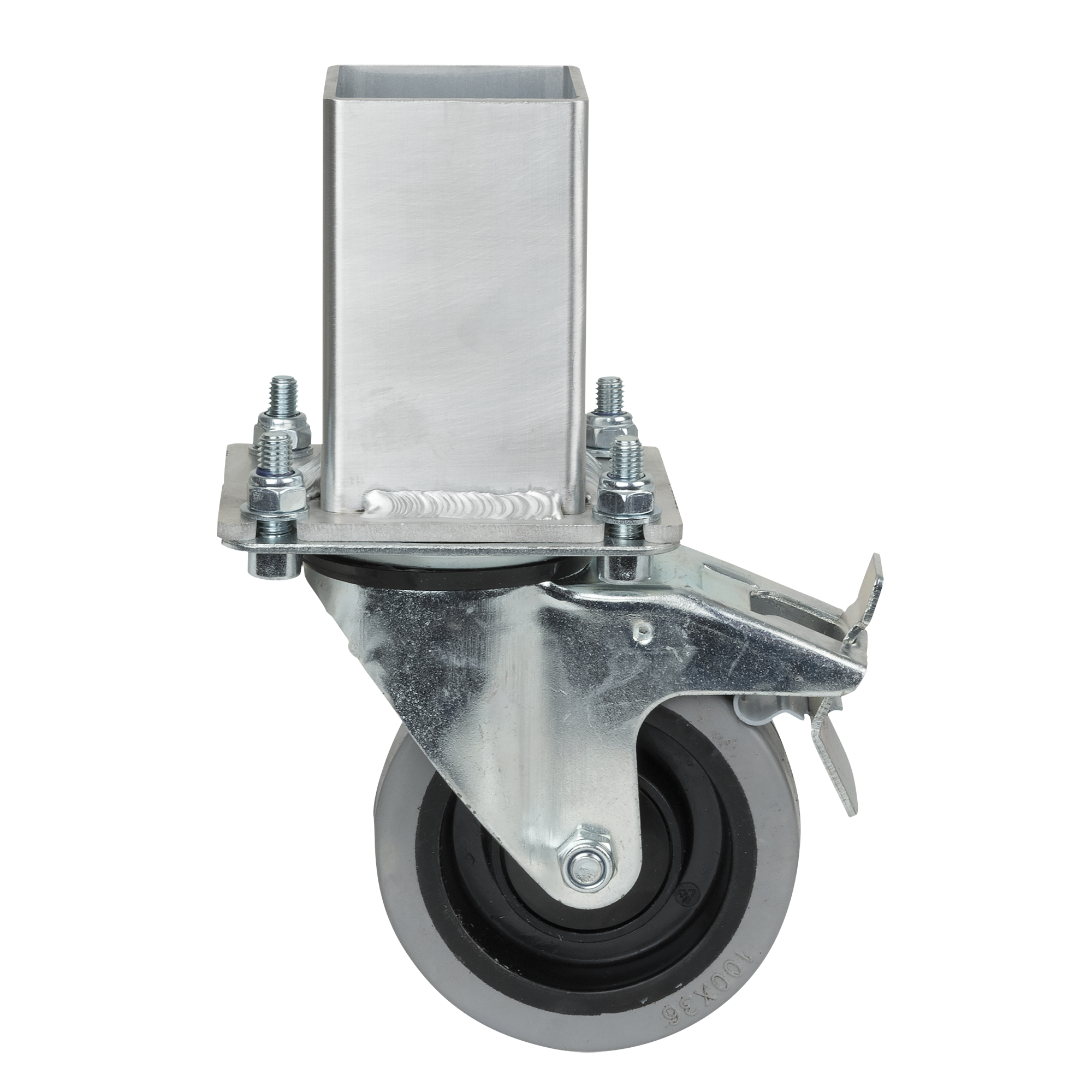 SHOWGEAR Gamba Mammoth Dex su ruota girevole