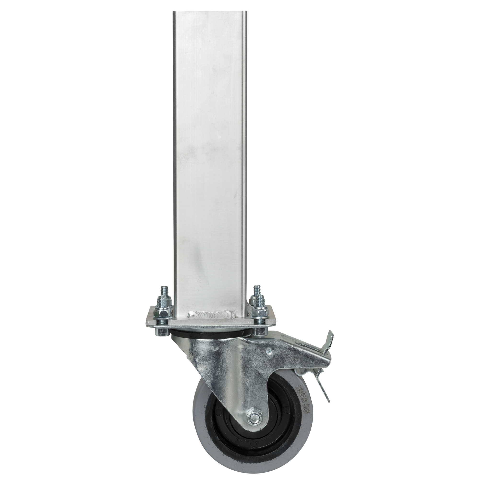 SHOWGEAR Gamba Mammoth Dex su ruota girevole