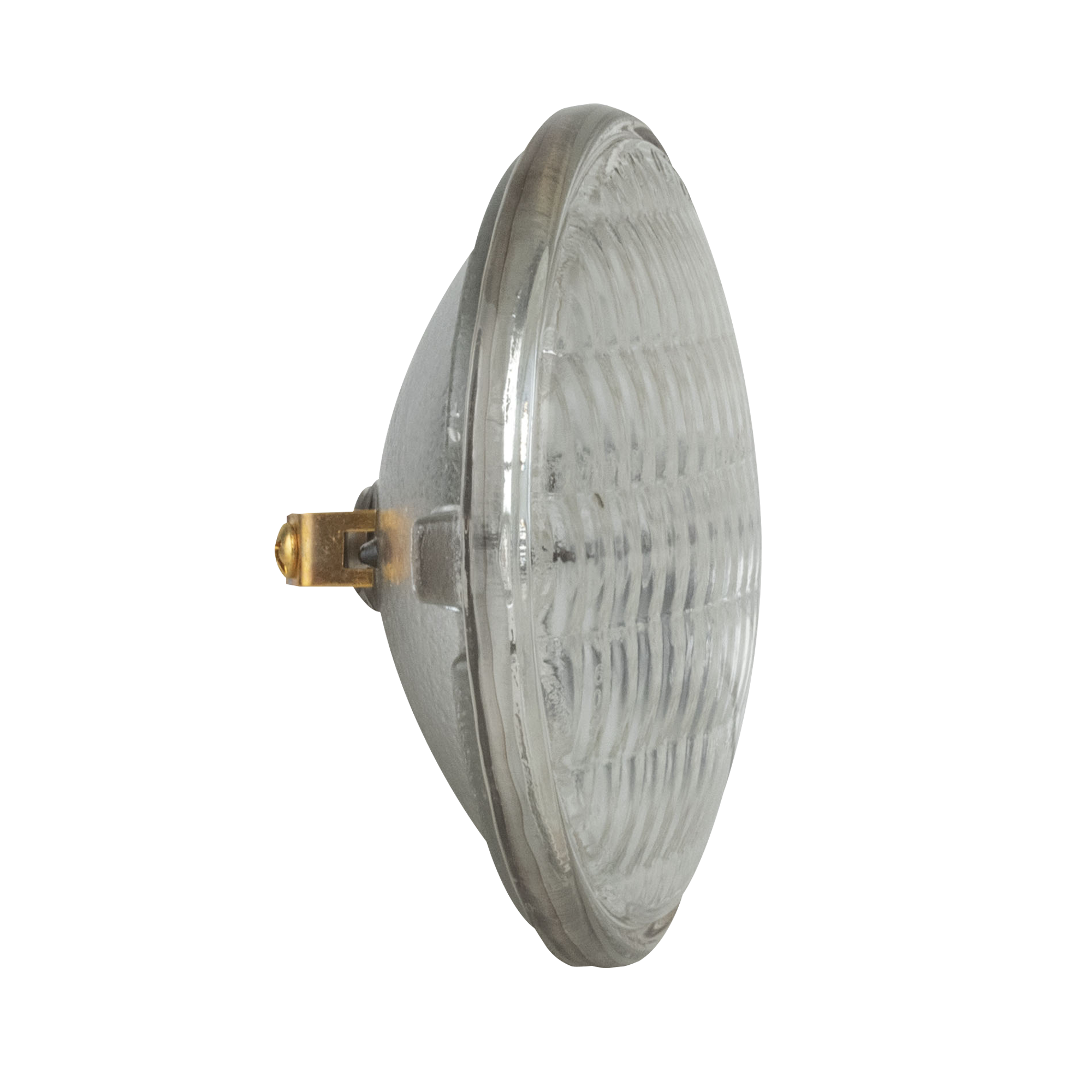 SHOWGEAR Par 36 M-P Screw Terminal DWE