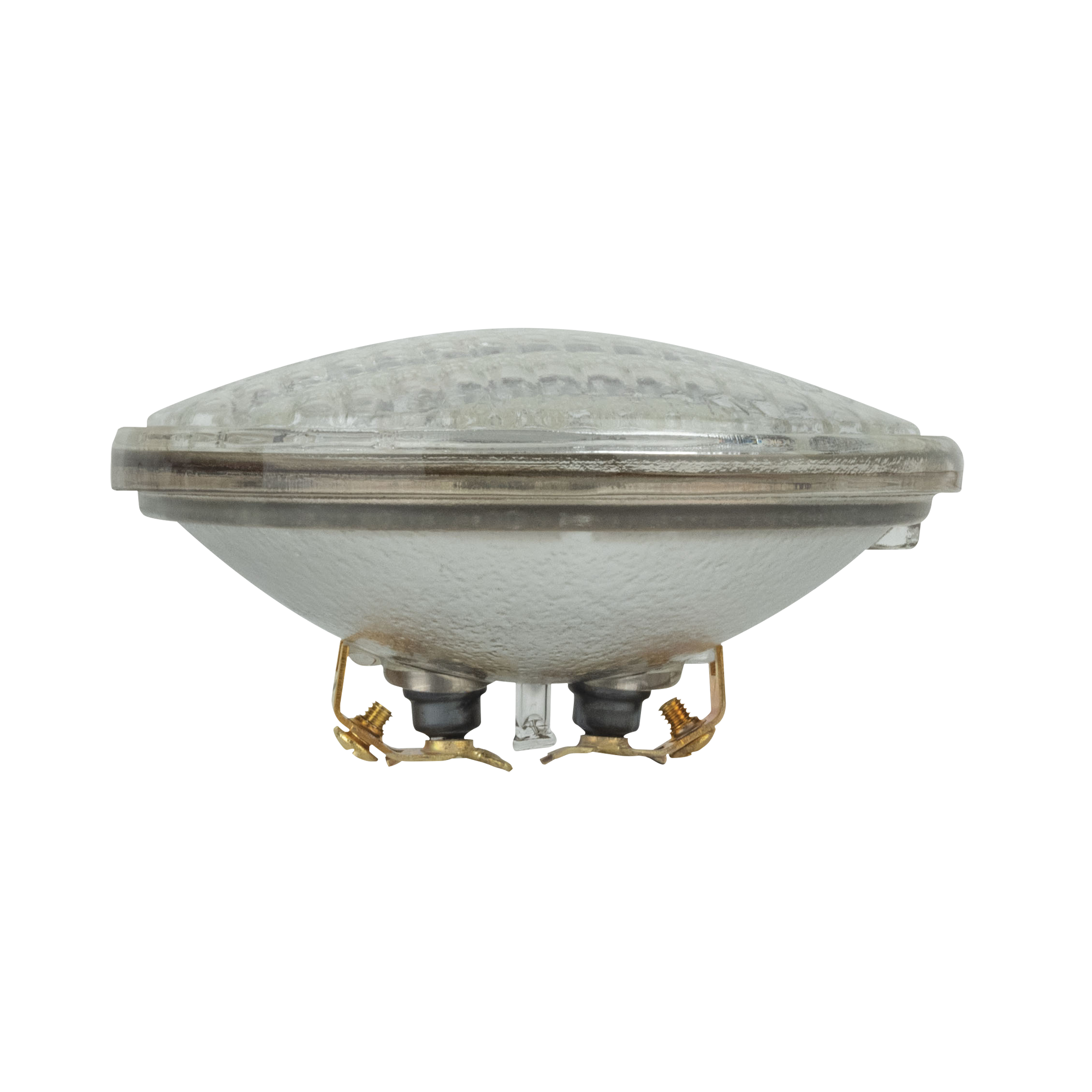 SHOWGEAR Par 36 M-P Screw Terminal DWE