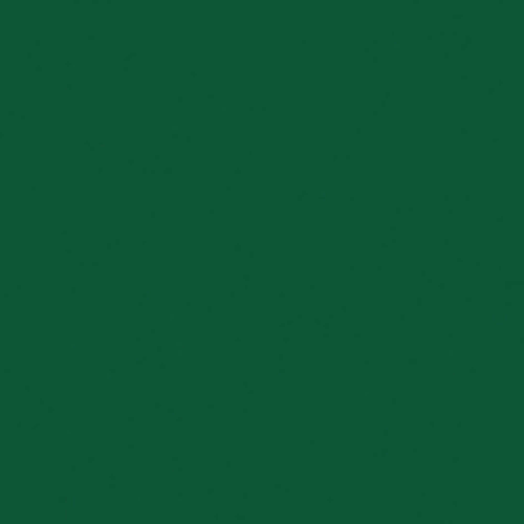 SHOWGEAR Cannone Spara Stelle Filanti Pro Manuale