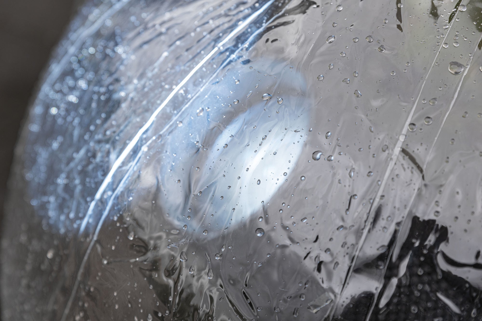 SHOWGEAR Copertura per Rain Dome 60