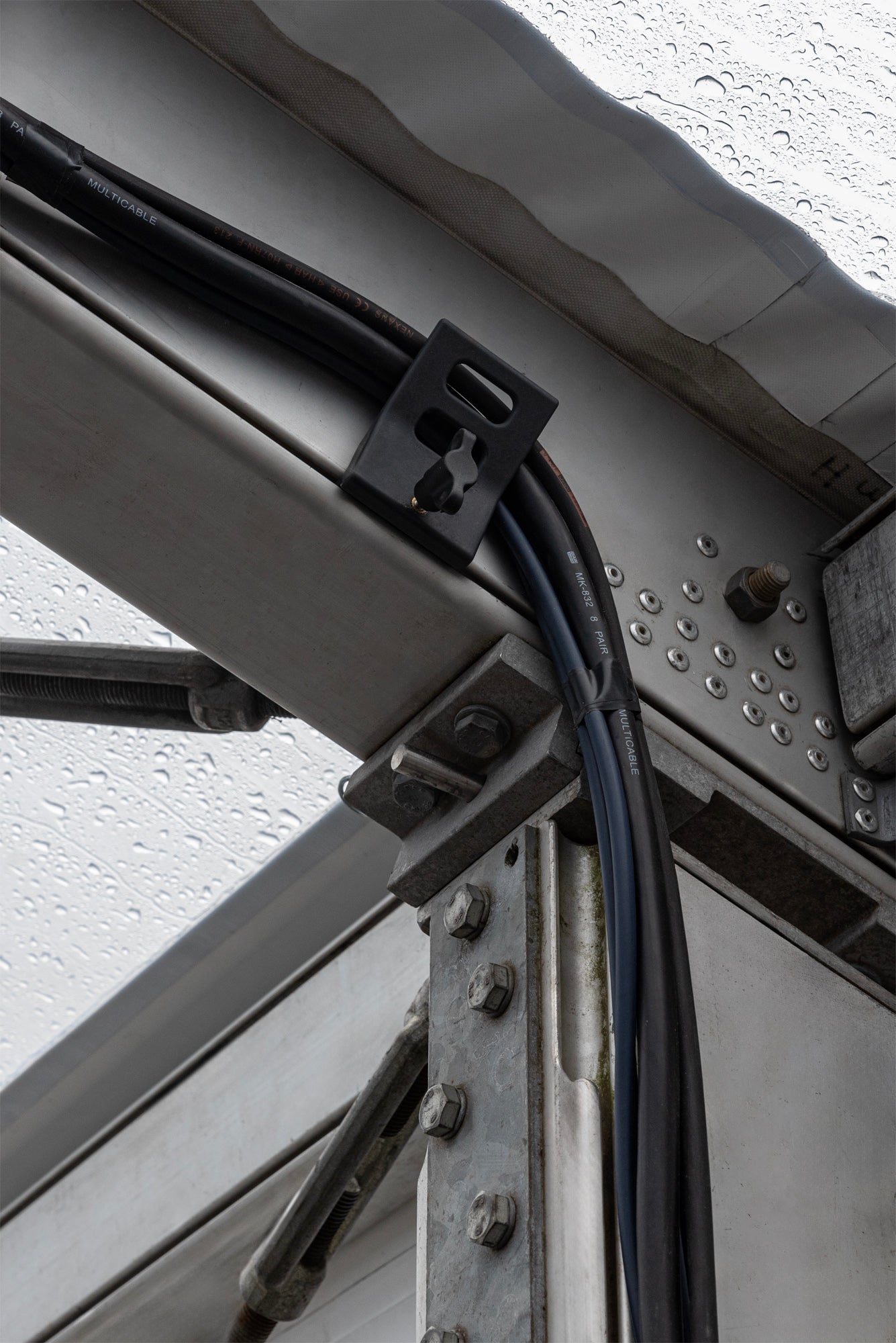 SHOWGEAR TC Clamp