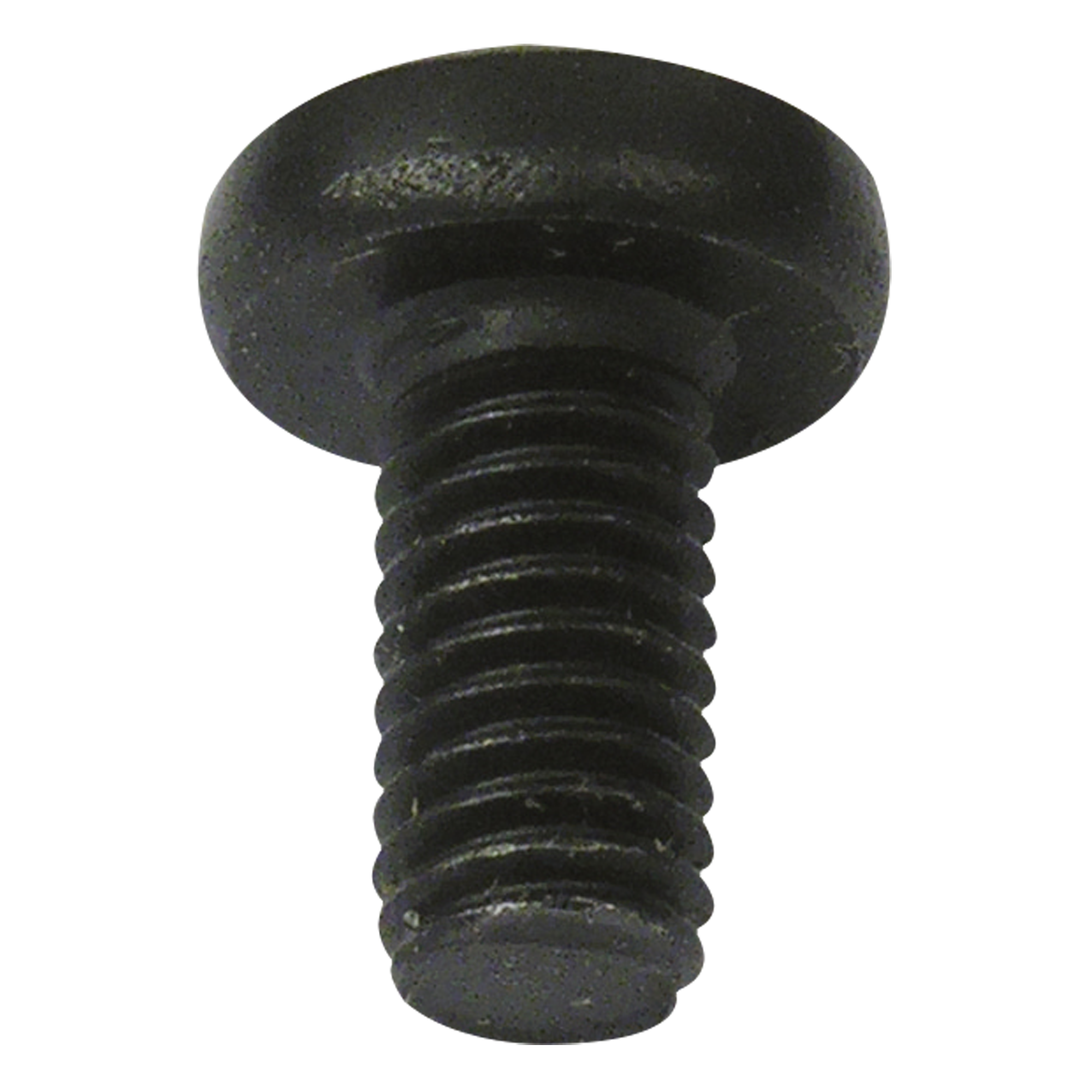 SHOWGEAR Vite M6 20 mm